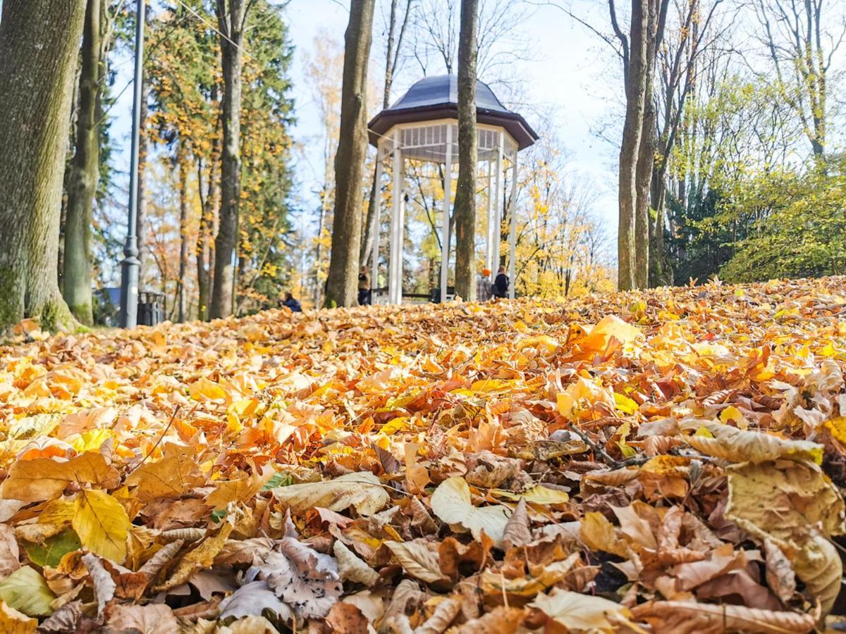Apartament Z Widokiem Na Park Polanica-Zdrój Exterior foto