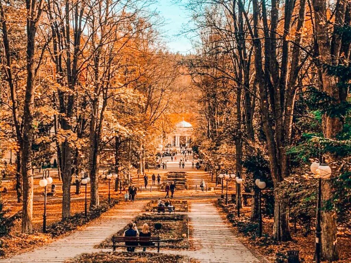 Apartament Z Widokiem Na Park Polanica-Zdrój Exterior foto